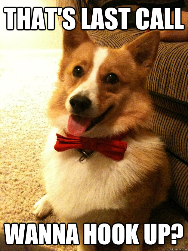 That's last call Wanna hook up? - That's last call Wanna hook up?  Charming Corgi