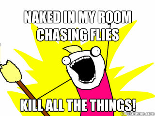 Naked in my room chasing flies Kill all the things!  All The Things