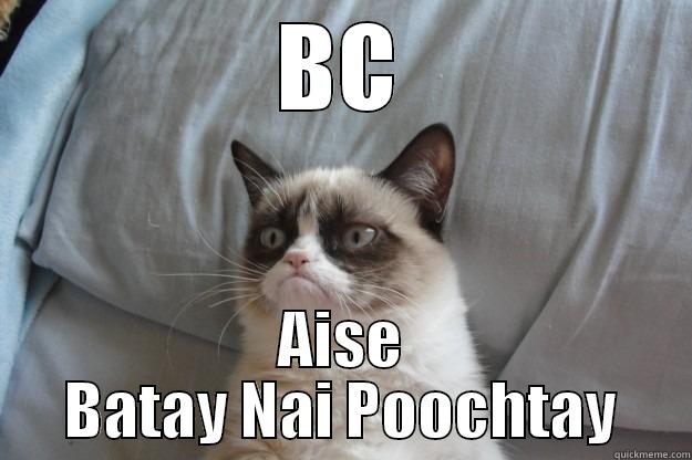 BC AISE BATAY NAI POOCHTAY Grumpy Cat