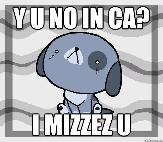 y u no in CA? i mizzez u  Miss you