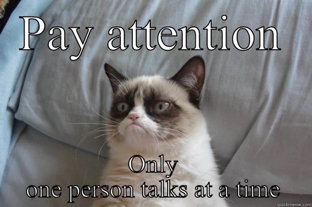 PAY ATTENTION ONLY ONE PERSON TALKS AT A TIME Grumpy Cat