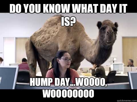 Do you know what day it is? Hump day...Woooo, Woooooooo  