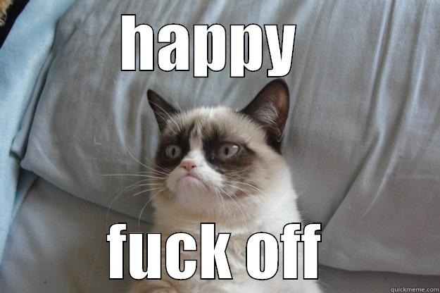 HAPPY  FUCK OFF Grumpy Cat