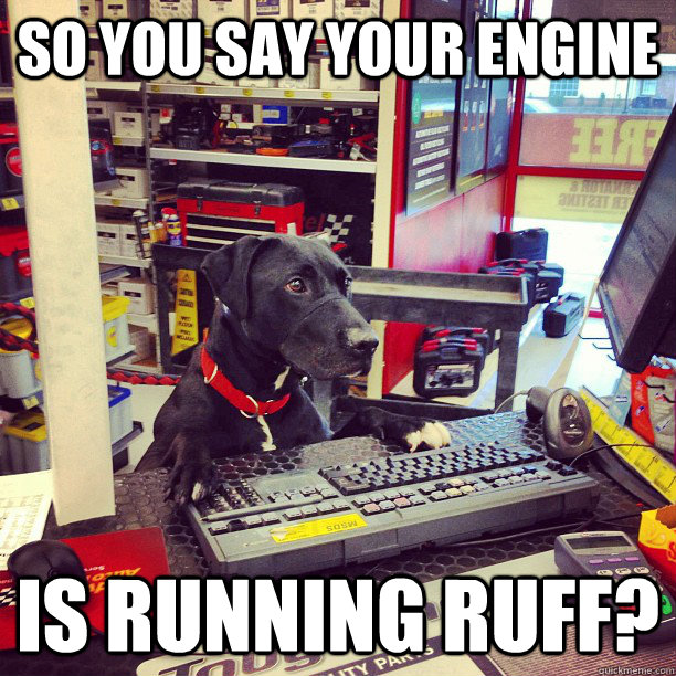 so you say your engine is running ruff? - so you say your engine is running ruff?  Auto Parts Dog