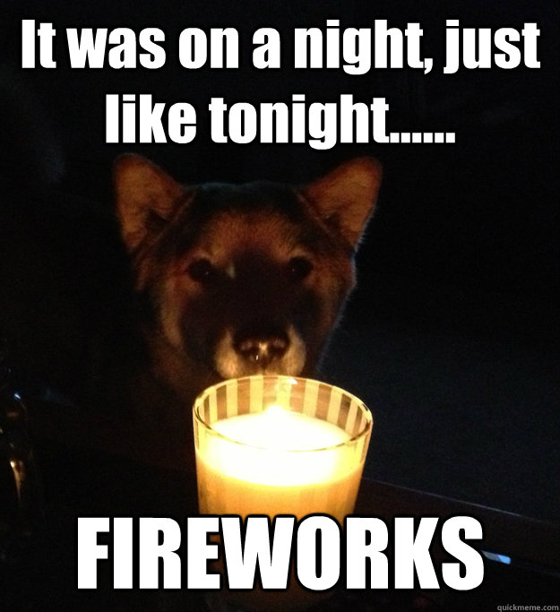 It was on a night, just like tonight...... FIREWORKS  Scary Story Dog