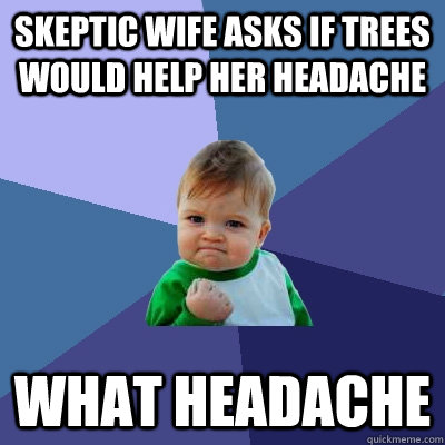 Skeptic wife asks if trees would help her headache what headache  Success Kid