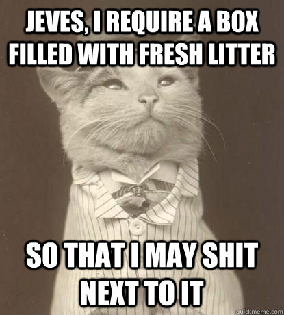 Jeves, I require a box filled with fresh litter So that I may shit next to it - Jeves, I require a box filled with fresh litter So that I may shit next to it  Aristocat