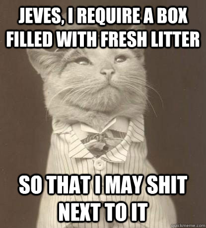 Jeves, I require a box filled with fresh litter So that I may shit next to it  Aristocat