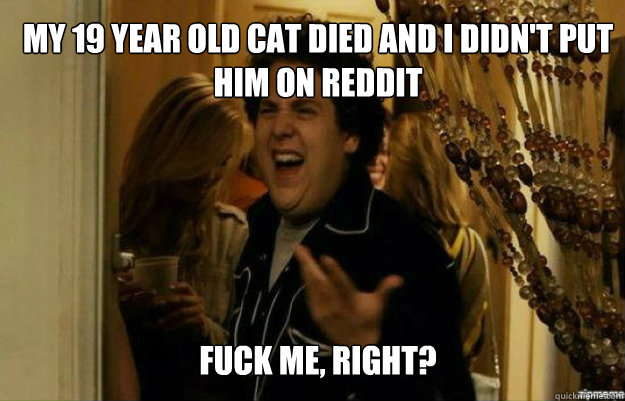 My 19 Year Old Cat Died And I Didn't Put Him On Reddit FUCK ME, RIGHT?  fuck me right