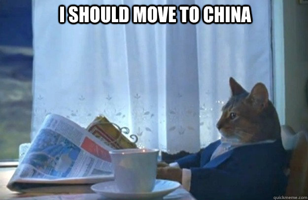 I should move to China  Sophisticated Cat
