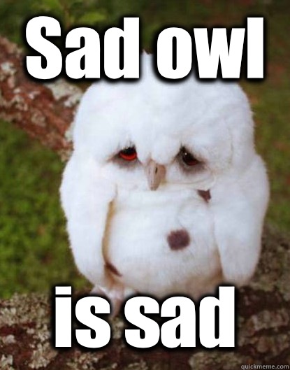 Sad owl is sad  Depressed Baby Owl