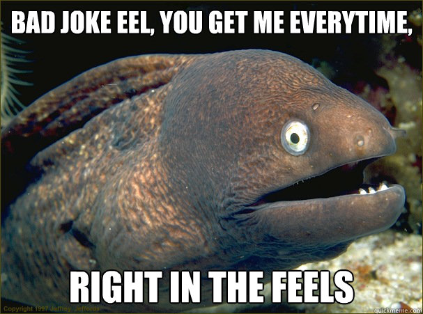 Bad joke eel, you get me everytime, Right in the feels - Bad joke eel, you get me everytime, Right in the feels  Bad Joke Eel