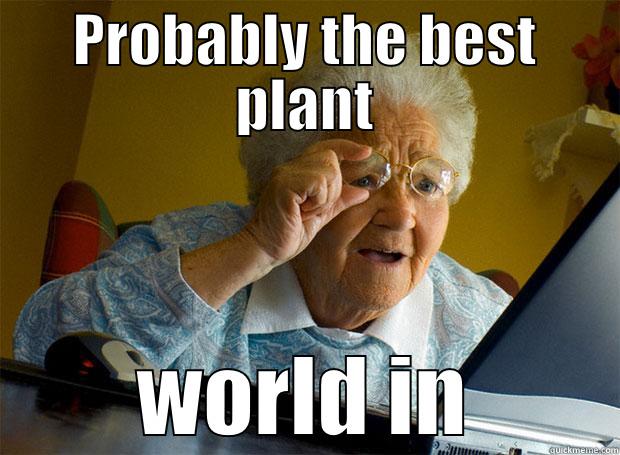 PROBABLY THE BEST PLANT WORLD IN Grandma finds the Internet