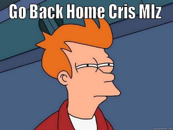 GO BACK HOME CRIS MIZ  Futurama Fry