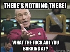 There's nothing there! What the fuck are you barking at?  Annoyed Picard