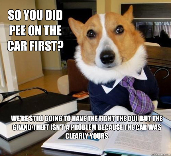 So you did pee on the car first? We're still going to have the fight the DUI, but the Grand Theft isn't a problem because the car was clearly yours  Lawyer Dog