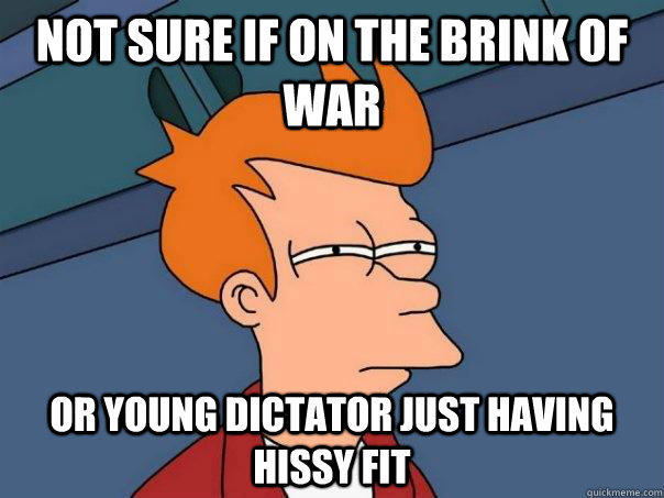 Not sure if on the brink of war Or young dictator just having hissy fit - Not sure if on the brink of war Or young dictator just having hissy fit  Futurama Fry