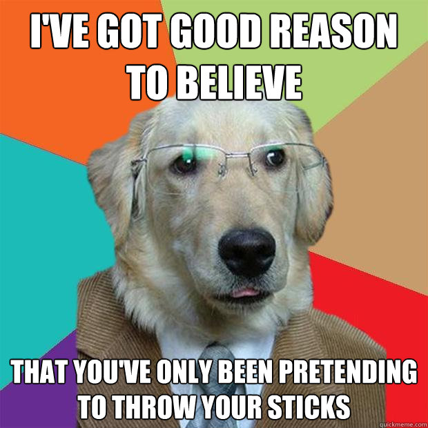 i've got good reason to believe that you've only been pretending to throw your sticks - i've got good reason to believe that you've only been pretending to throw your sticks  Business Dog