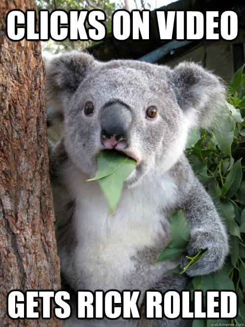 Clicks on video Gets rick rolled  koala bear