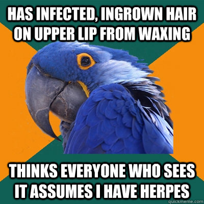 Has infected, ingrown hair on upper lip from waxing Thinks everyone who sees it assumes I have herpes  Paranoid Parrot
