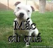  MẮC CỪ QUÁ Misc