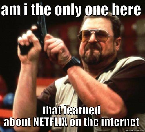 AM I THE ONLY ONE HERE  THAT LEARNED ABOUT NETFLIX ON THE INTERNET Am I The Only One Around Here