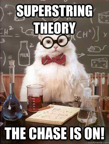 Superstring theory The chase is on!  Science Cat