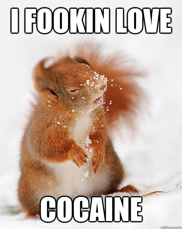 I fookin love cocaine  - I fookin love cocaine   cover squirrel