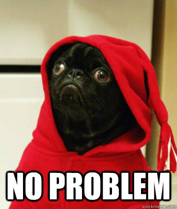  no problem -  no problem  Serious Pug