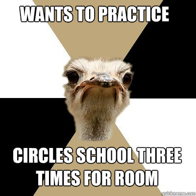 Wants to Practice circles school three times for room - Wants to Practice circles school three times for room  Music Major Ostrich