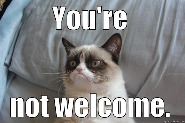You're not welcome. - YOU'RE NOT WELCOME. Grumpy Cat