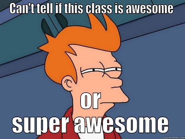 sucking up to teacher meme - CAN'T TELL IF THIS CLASS IS AWESOME OR SUPER AWESOME Futurama Fry