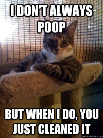I don't always poop but when I do, you just cleaned it  The Most Interesting Cat in the World