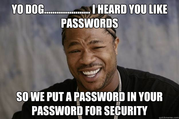 Yo d0g...................... i heard you like passwords SO we put a password in your password for security - Yo d0g...................... i heard you like passwords SO we put a password in your password for security  Xzibit meme