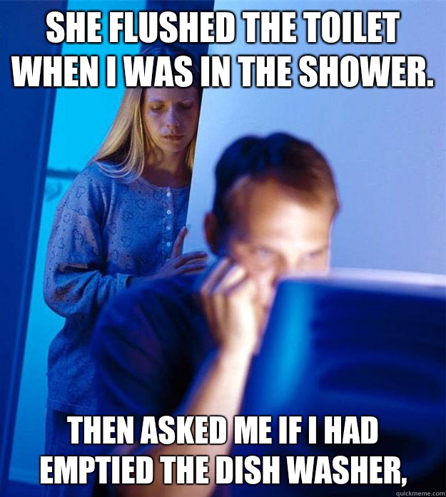 She flushed the toilet when I was in the shower. Then asked me if I had emptied the dish washer,  Redditors Wife