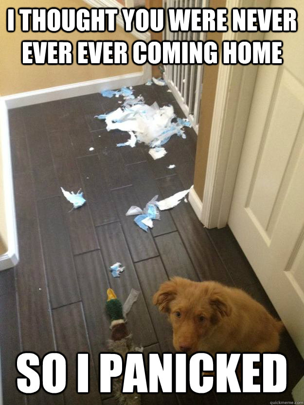 k9