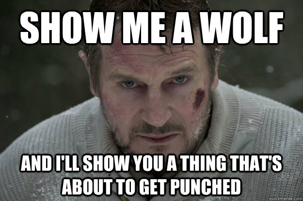 Show me a wolf and I'll show you a thing that's about to get punched - Show me a wolf and I'll show you a thing that's about to get punched  Liam Neeson Wolf Puncher