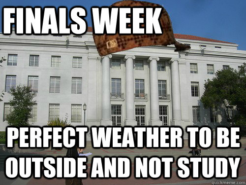 finals week Perfect weather to be outside and not study - finals week Perfect weather to be outside and not study  Scumbag UC Berkeley