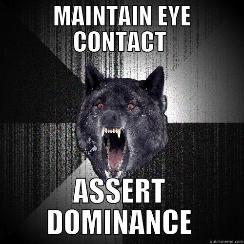  MAINTAIN EYE CONTACT ASSERT DOMINANCE Insanity Wolf