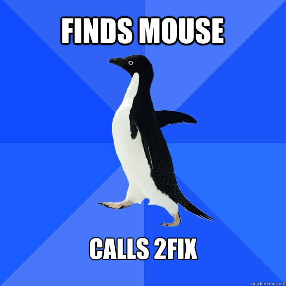Finds mouse calls 2fix  Socially Awkward Penguin