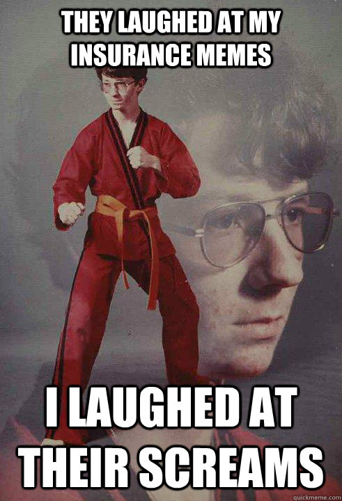 they laughed at my insurance memes i laughed at their screams  Karate Kyle