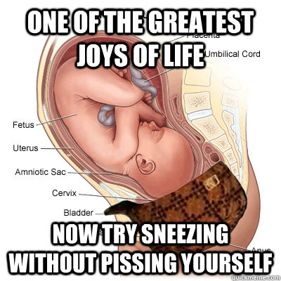 one of the greatest joys of life now try sneezing without pissing yourself  
