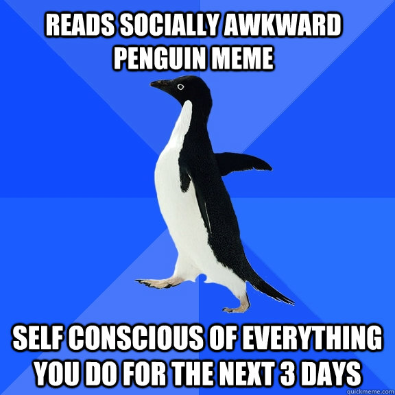 Reads Socially awkward penguin meme self conscious of everything you do for the next 3 days   Socially Awkward Penguin