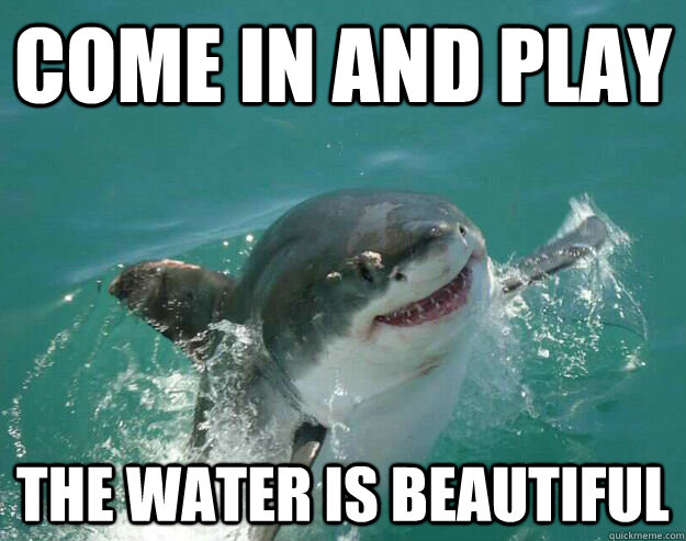 COME IN AND PLAY THE WATER IS BEAUTIFUL - COME IN AND PLAY THE WATER IS BEAUTIFUL  Suspicious shark