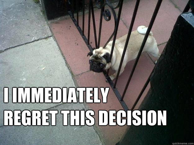 I immediately 
regret this decision - I immediately 
regret this decision  Regretful Dog