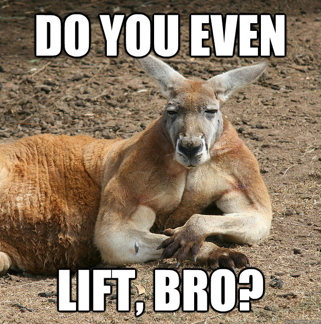 do you even lift, bro?  