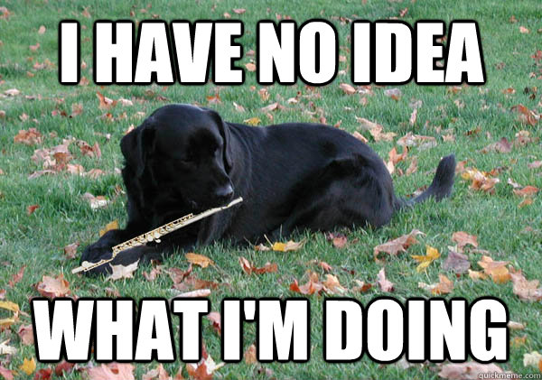 I HAVE NO IDEA WHAT I'M DOING - I HAVE NO IDEA WHAT I'M DOING  Flute Dog