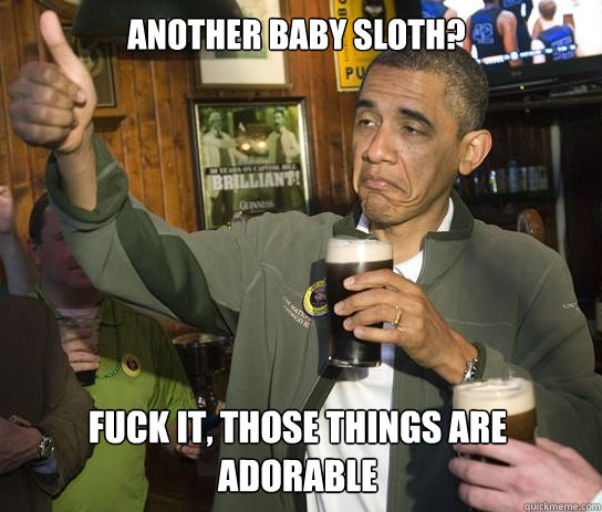 Another baby sloth? Fuck it, those things are adorable - Another baby sloth? Fuck it, those things are adorable  Obama Approves