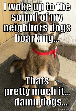 I WOKE UP TO THE SOUND OF MY NEIGHBORS DOGS BOARKING... THATS PRETTY MUCH IT...     DAMN DOGS... Good Dog Greg