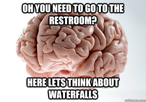 oh you need to go to the restroom? here lets think about waterfalls   Scumbag Brain